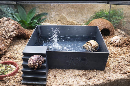 Large Hermit Crab Bubbler Pool
