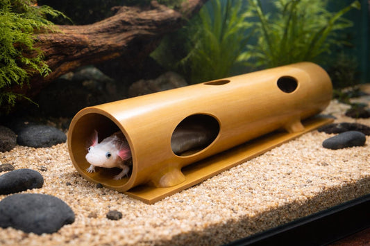 Aquarium Pleco Hide-Out