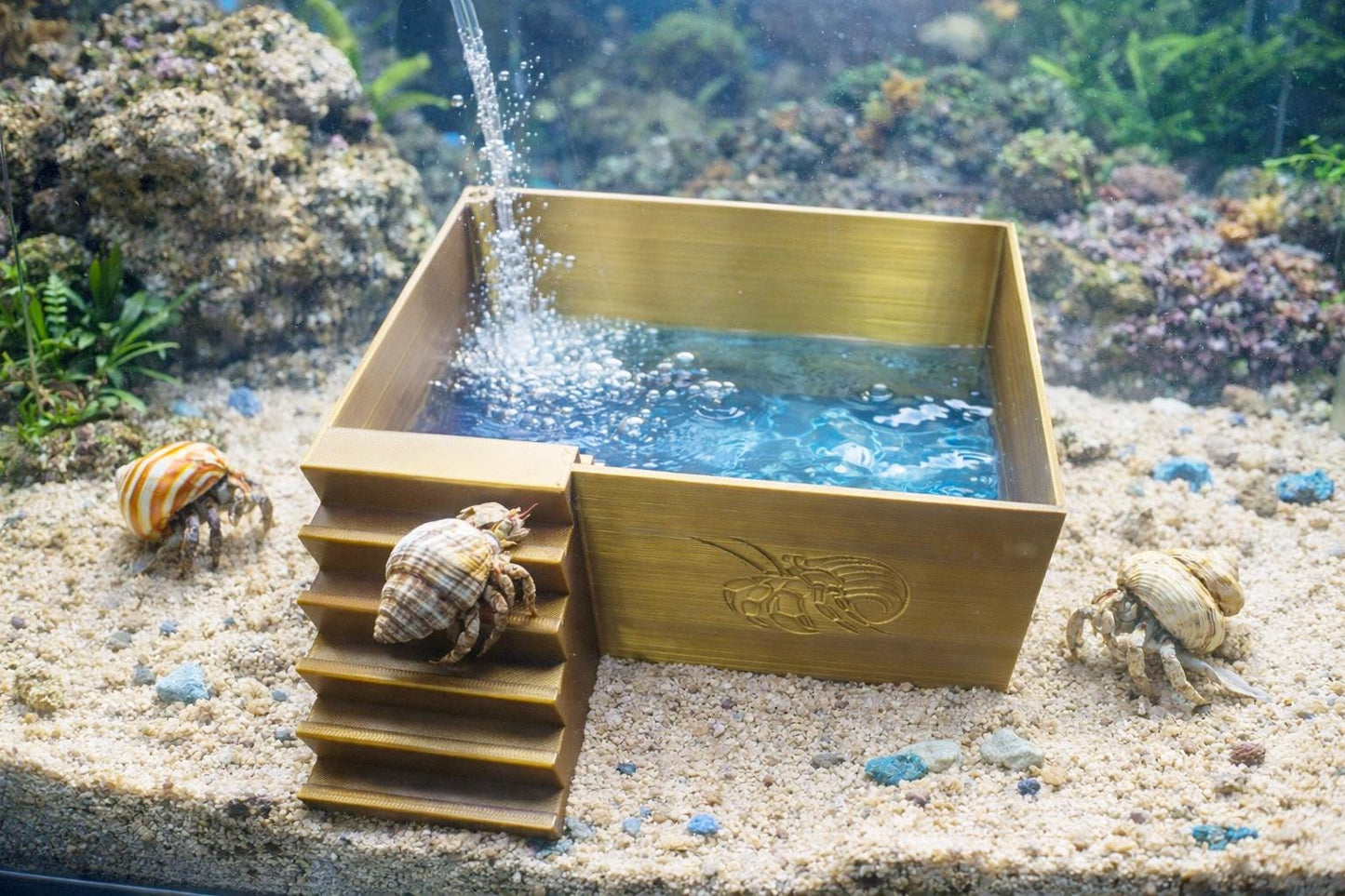 Large Hermit Crab Bubbler Pool