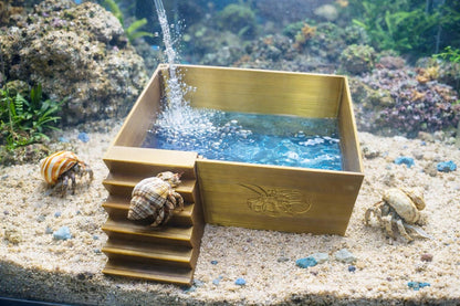 Large Hermit Crab Bubbler Pool