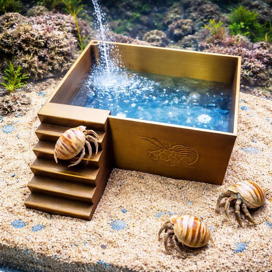 Large Hermit Crab Bubbler Pool