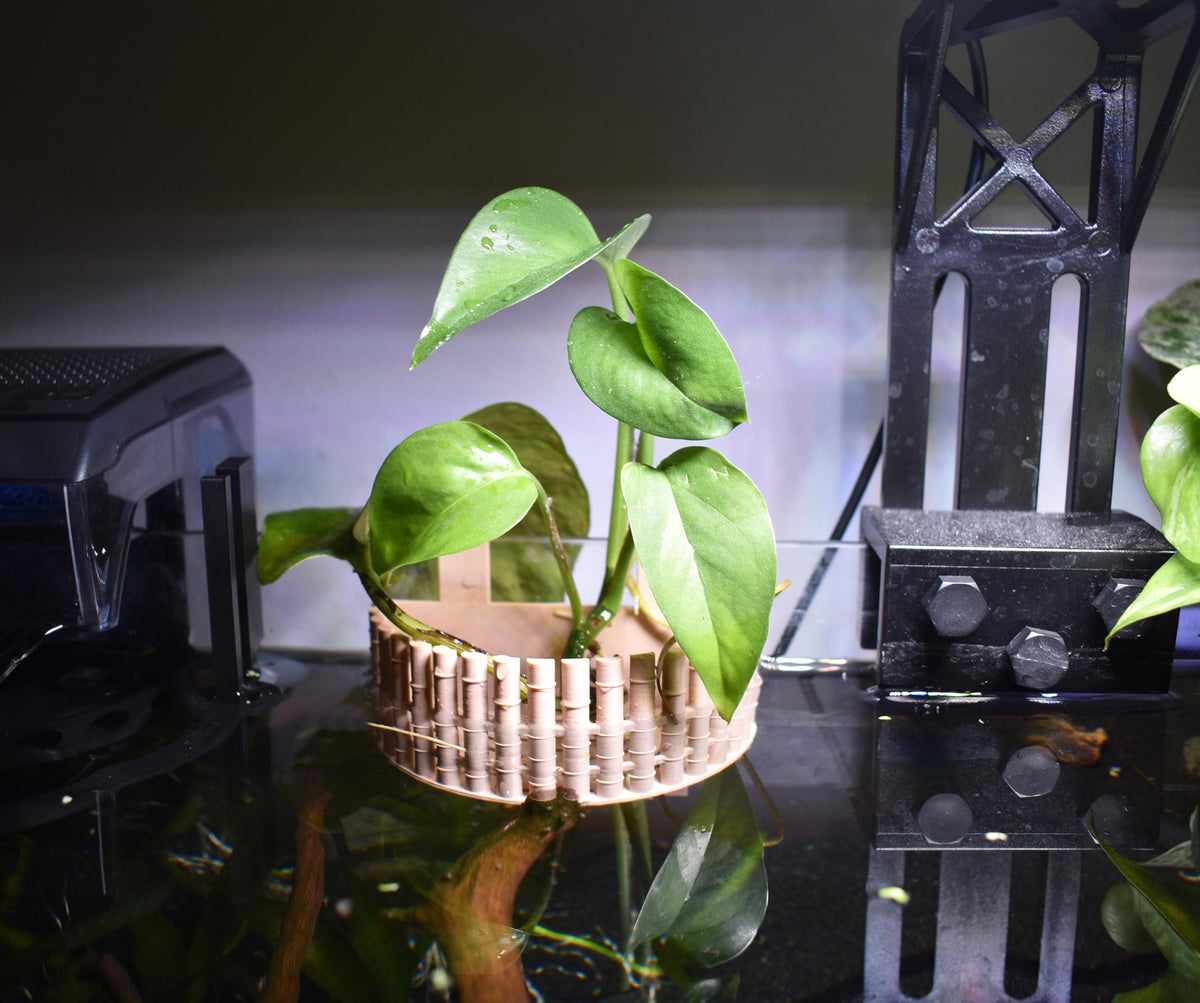 Bamboo-Inspired Aquarium Plant Holder