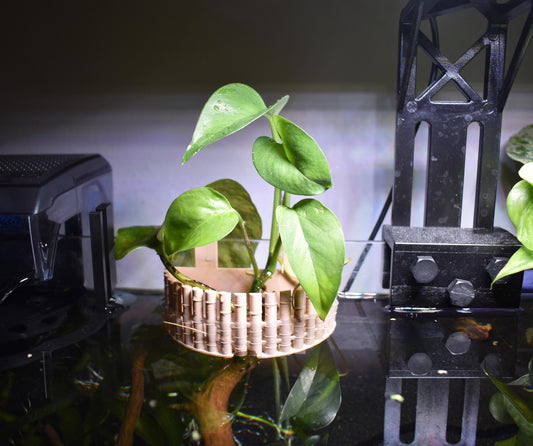 Bamboo-Inspired Aquarium Plant Holder