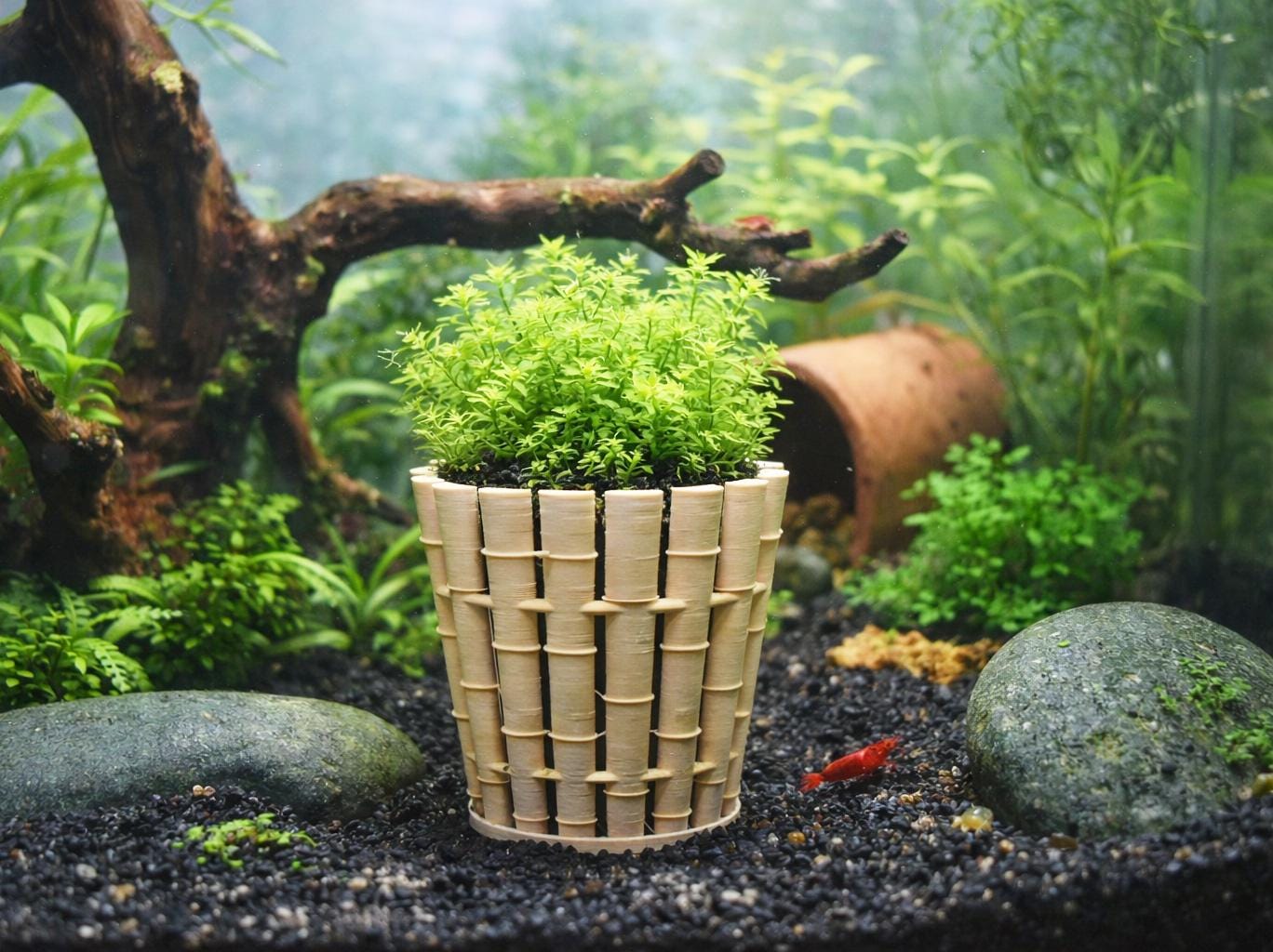 Bamboo Aquarium Barrel