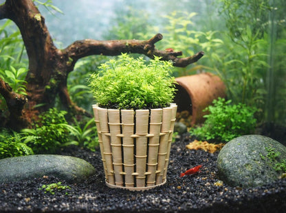 Bamboo Aquarium Barrel