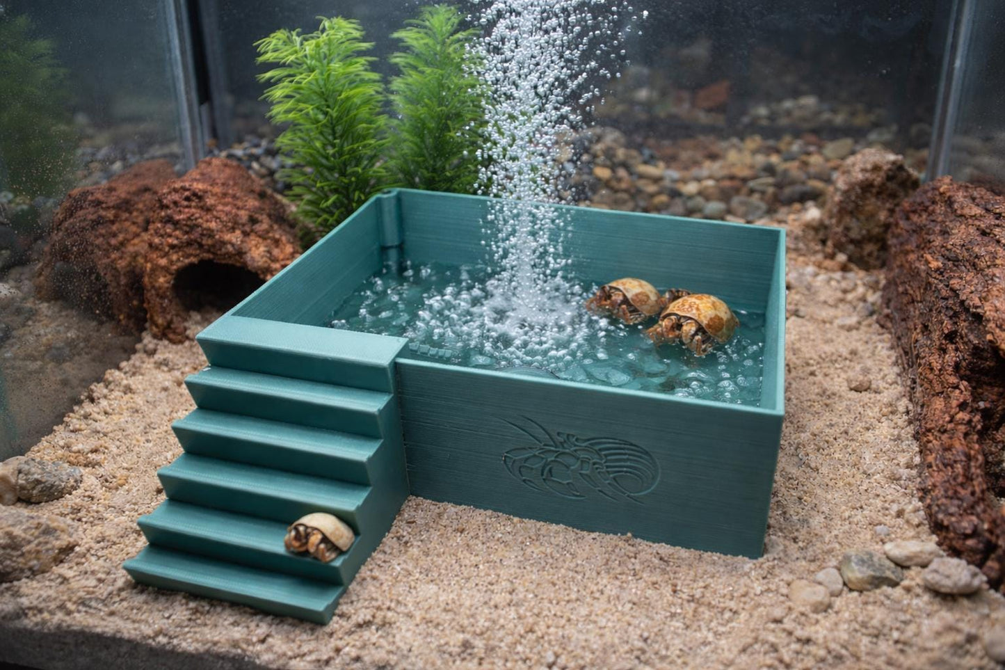 Large Hermit Crab Bubbler Pool