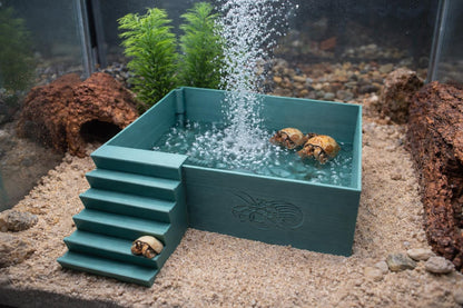 Large Hermit Crab Bubbler Pool