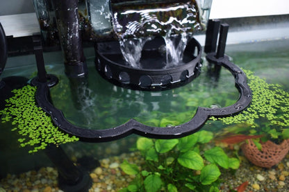 Healthier Nano Aquarium Ecosystem