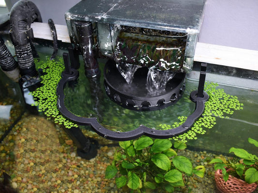 Healthier Nano Aquarium Ecosystem