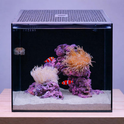 Hello Reef 15 Gallon Custom Lid