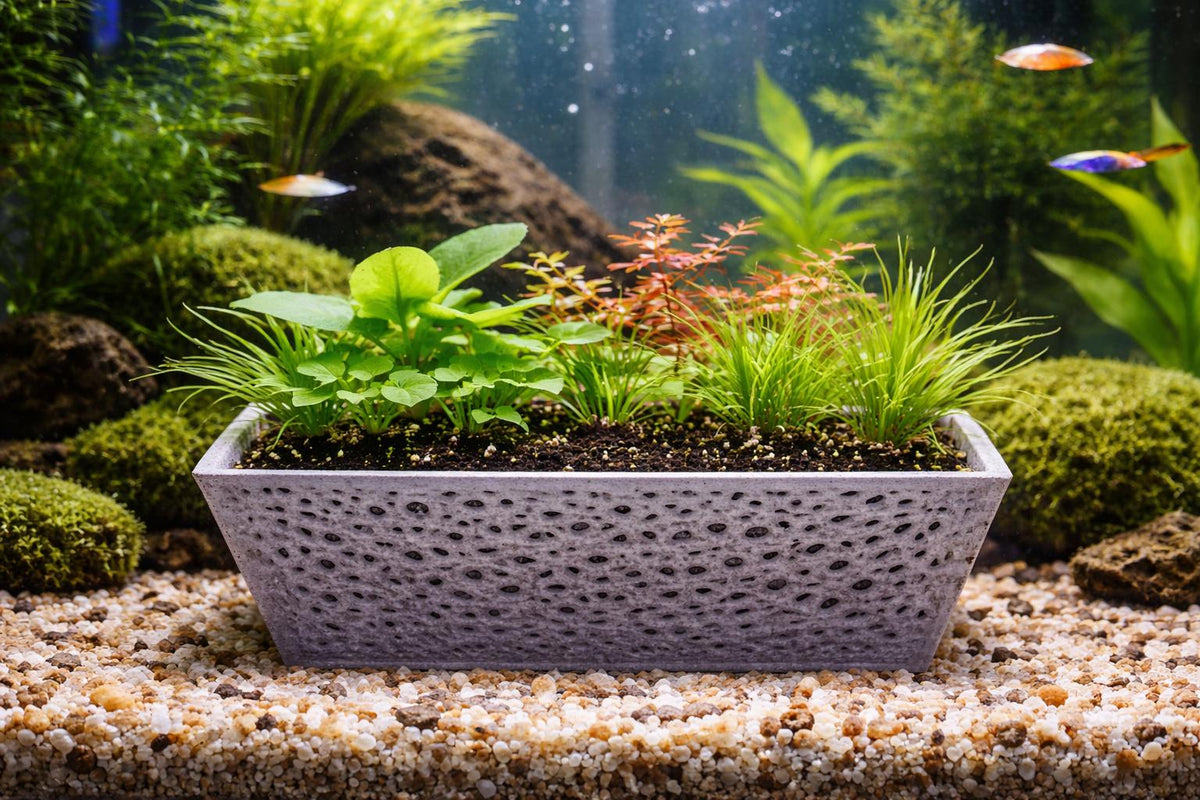 Aquarium Plant Basket