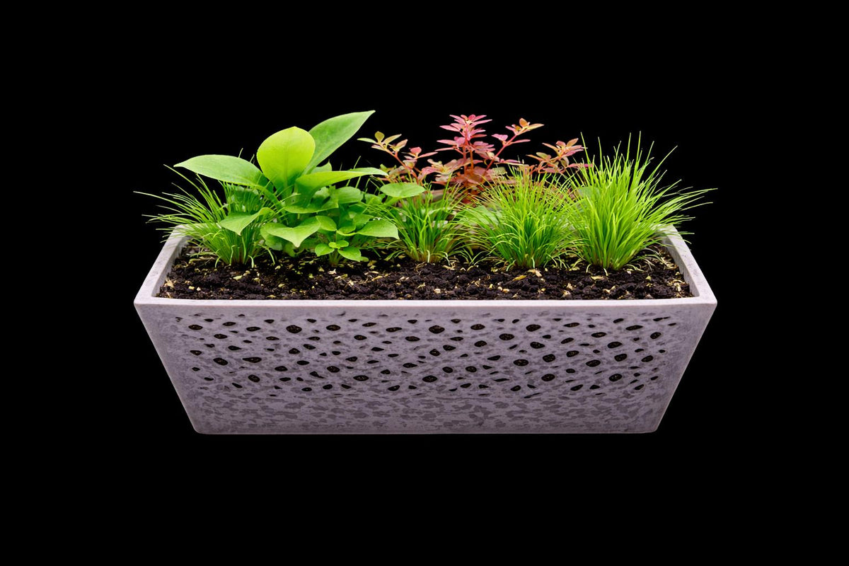 Aquarium Plant Basket
