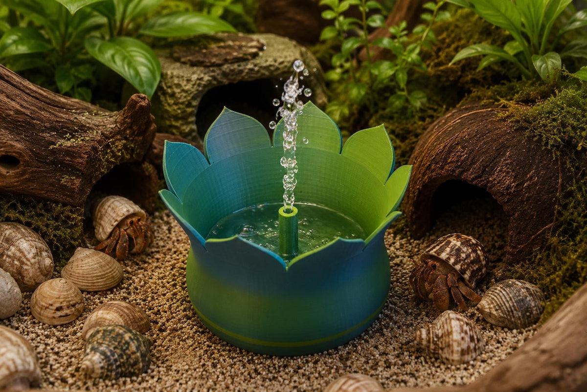 Lotus Hermit Crab Pool with Bubbling Fountain