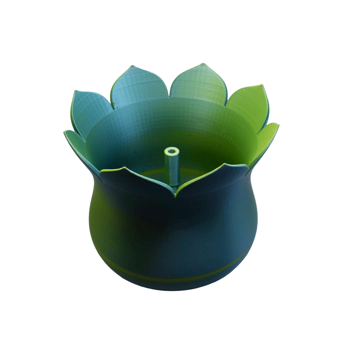 Lotus Hermit Crab Pool with Bubbling Fountain