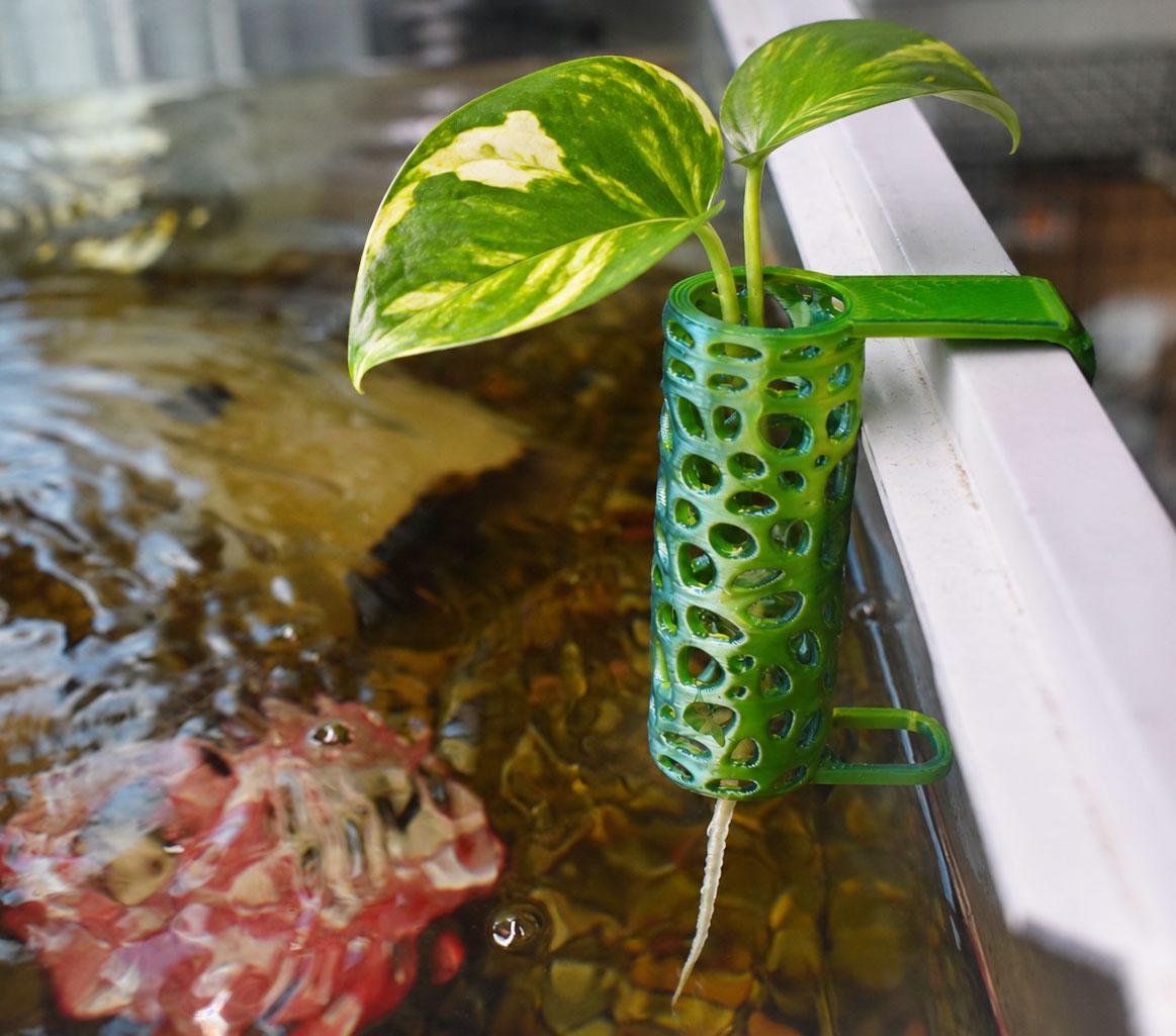 Aquarium Pothos Hanging Pot