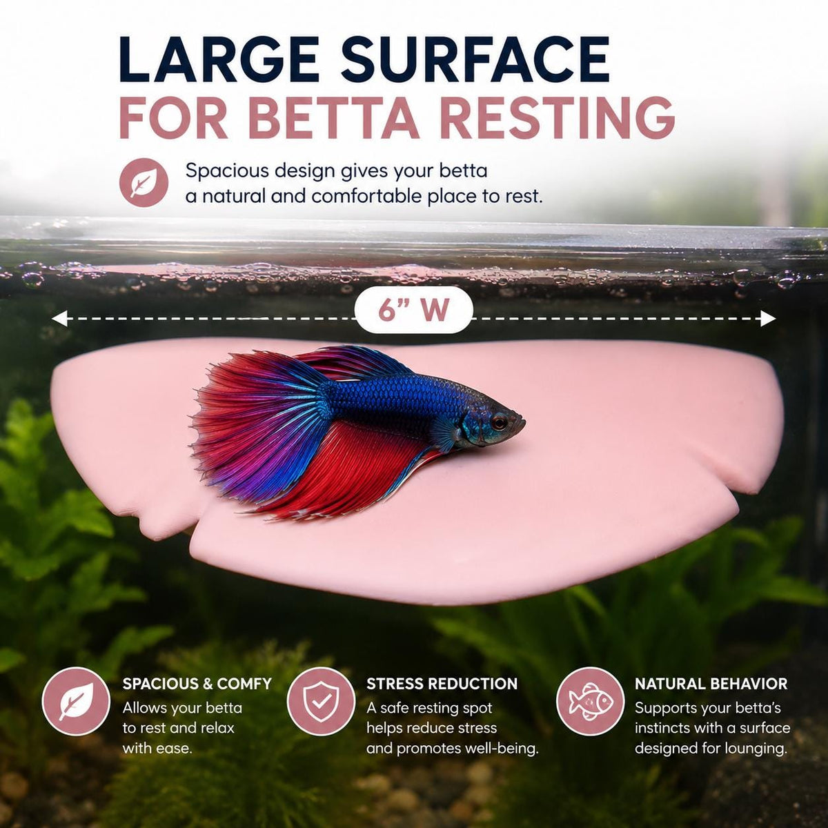 Mushroom Betta Hammock