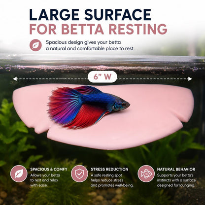 Mushroom Betta Hammock