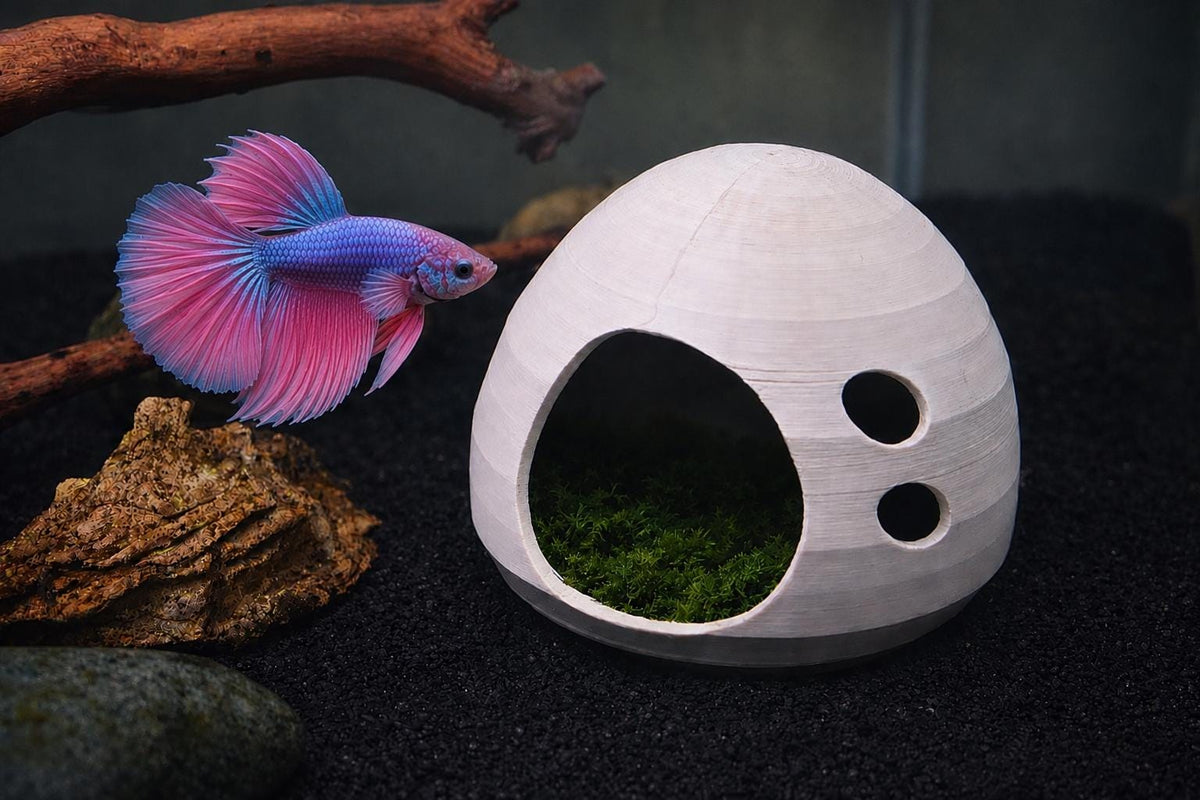 Natural Betta Resting Pod