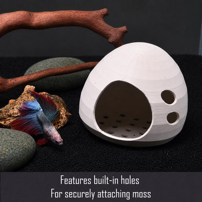 Natural Betta Resting Pod