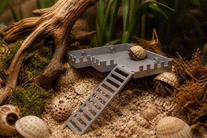 Hermit Crab Observation Deck with Ladder