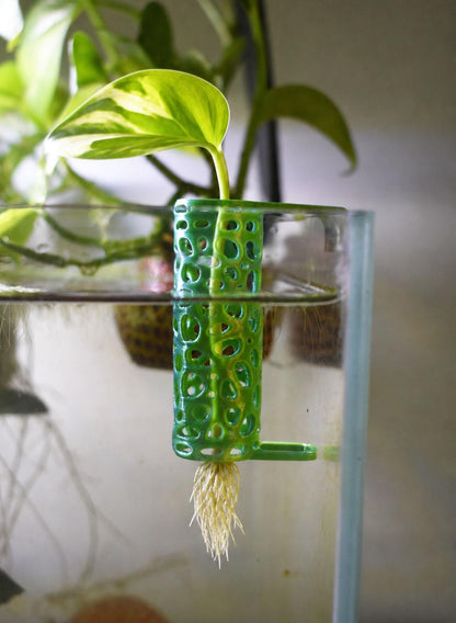 Aquarium Pothos Hanging Pot