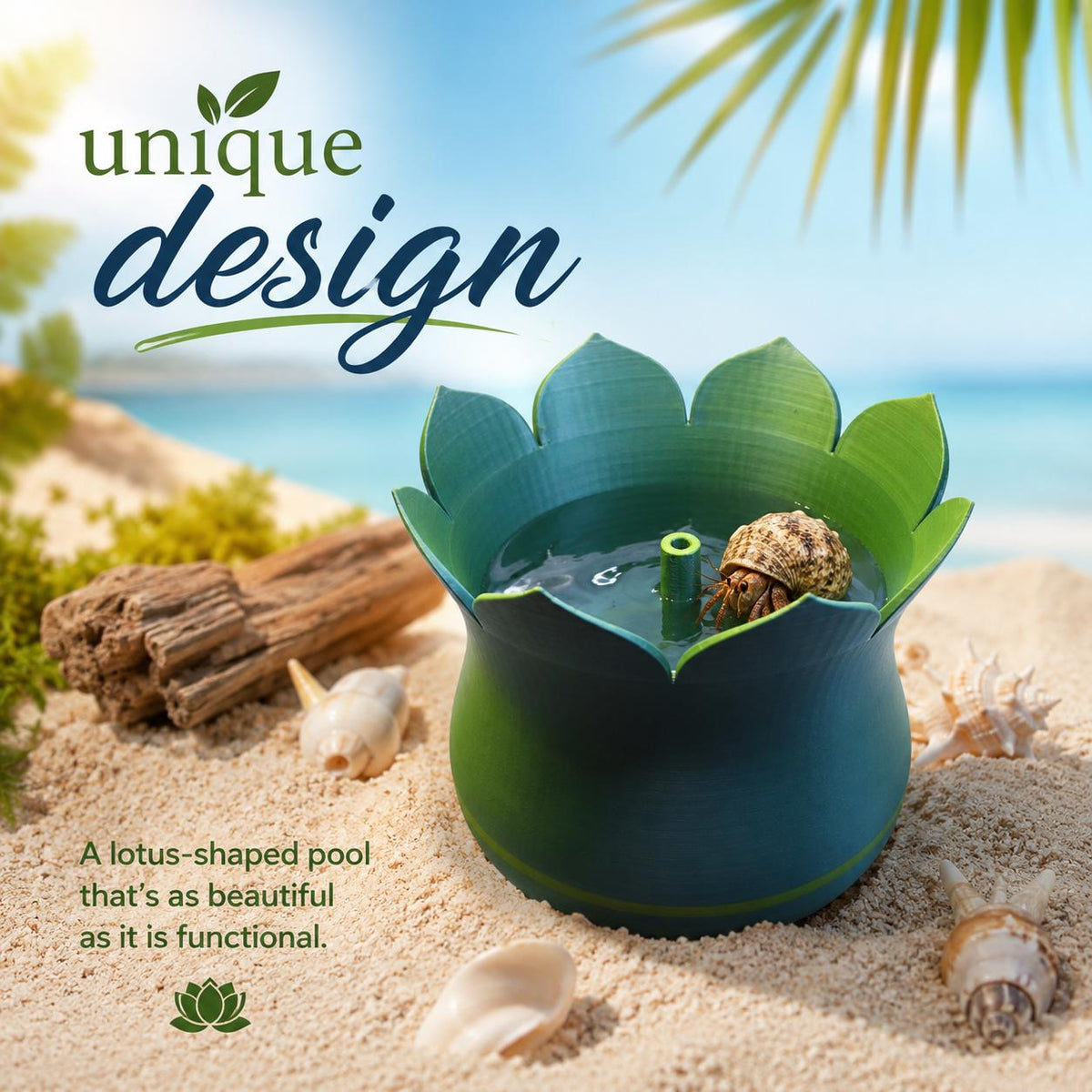 Lotus Hermit Crab Pool with Bubbling Fountain