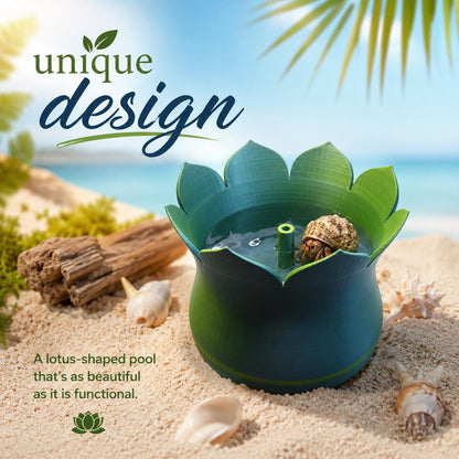 Lotus Hermit Crab Pool with Bubbling Fountain