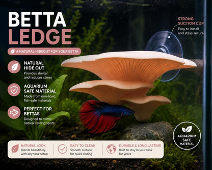 Mushroom Betta Hammock