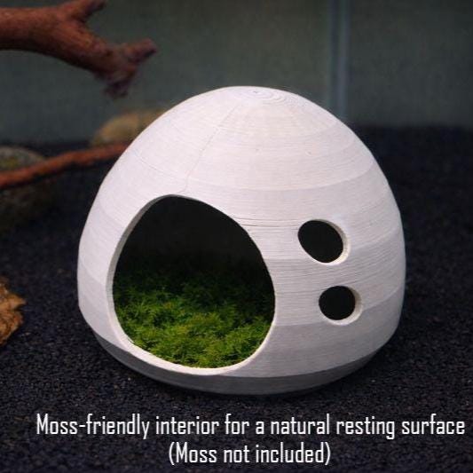 Natural Betta Resting Pod