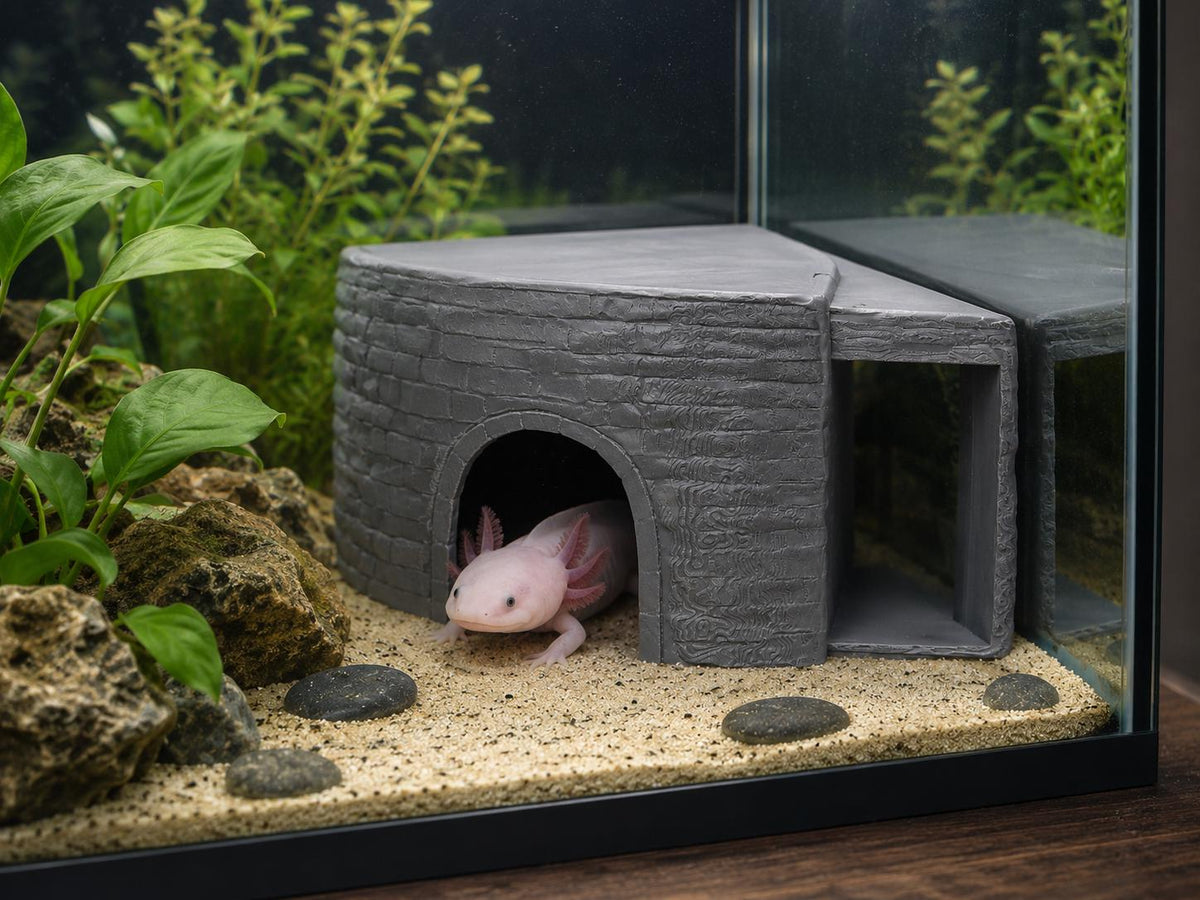 Natural Rock Corner Cave Hide – Reptile & Axolotl Hideout