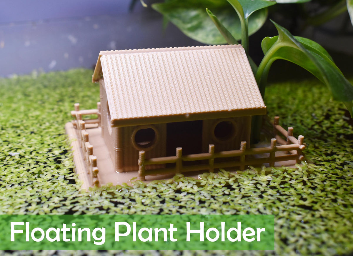 Floating Bamboo House Plant Holder