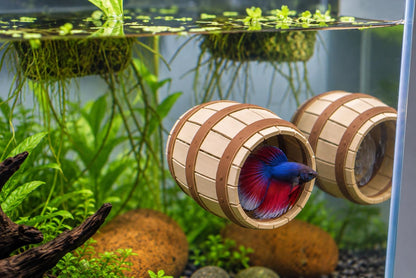 Wooden Barrel Tunnel For Betta Fish Hide Out