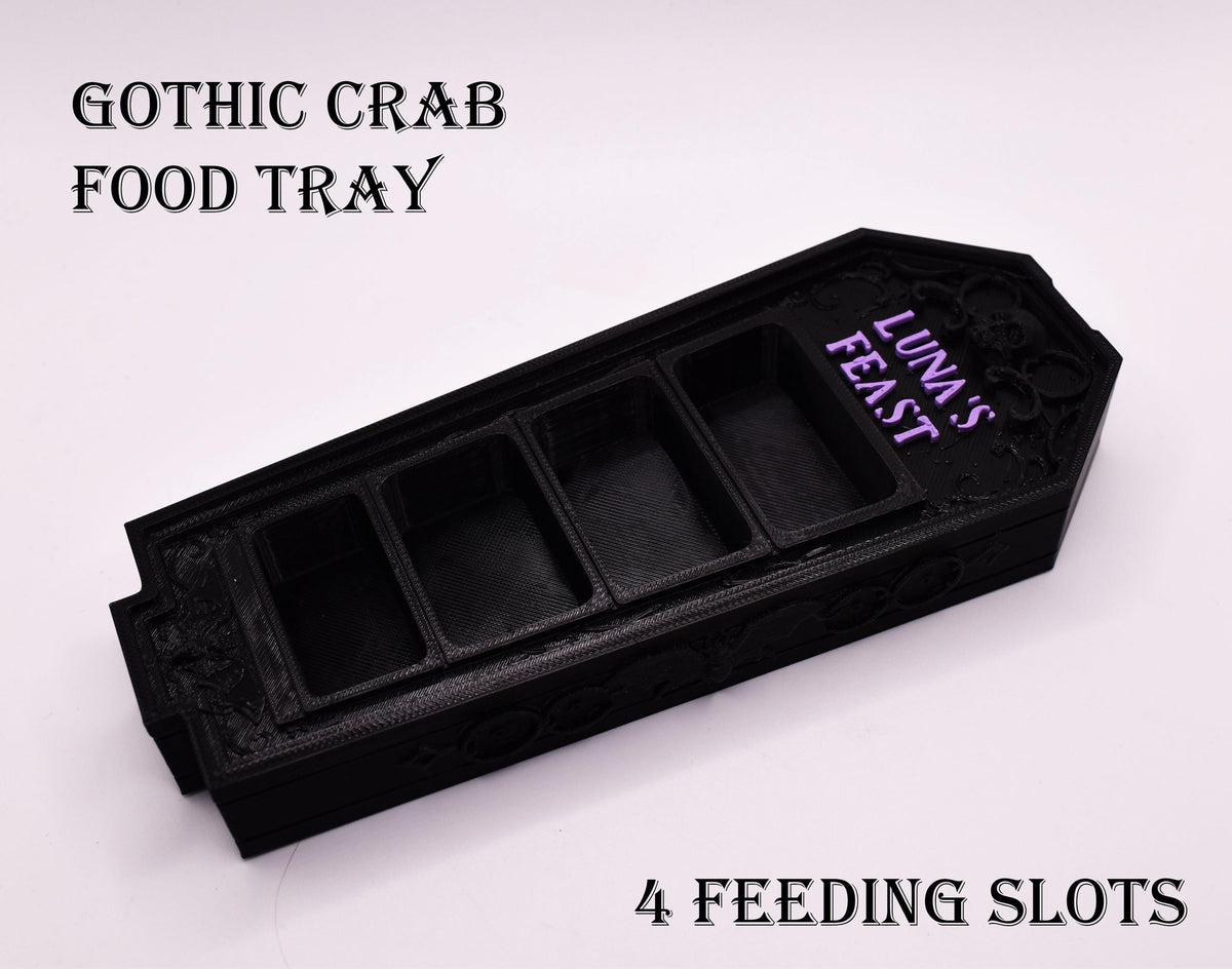 Gothic Hermit Crab Feeding Dish
