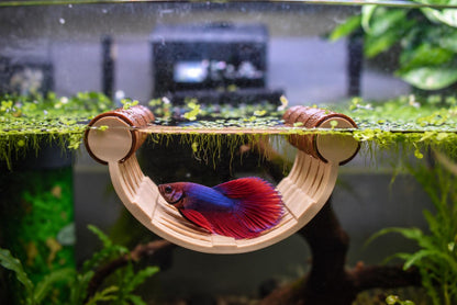 Natural Look Floating Betta Fish Hammock