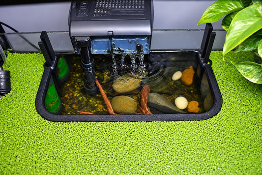 Aquarium Floating Plant Blocker