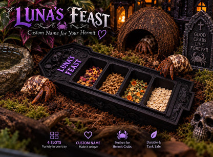 Gothic Hermit Crab Feeding Dish