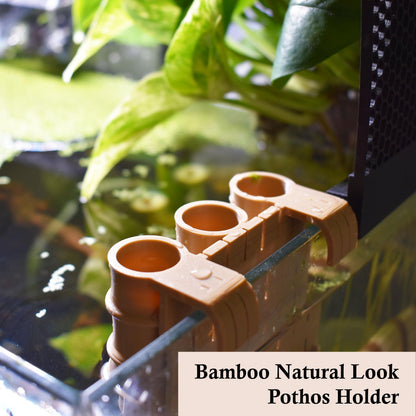 Bamboo Aquarium Pothos Holder
