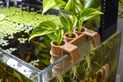 Bamboo Aquarium Pothos Holder