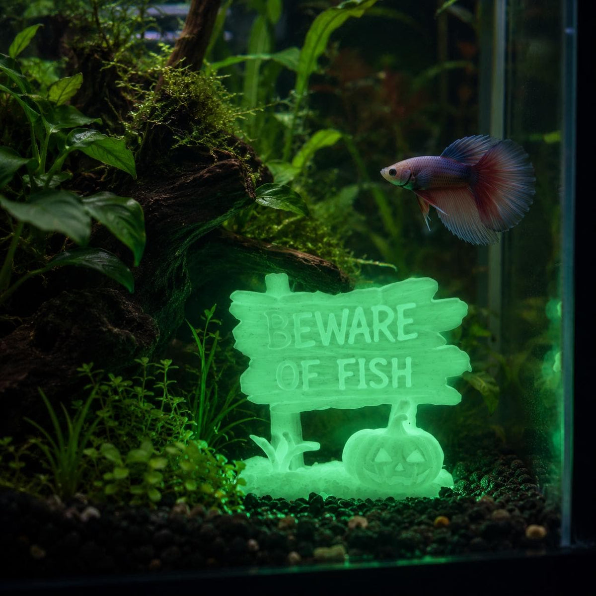 Halloween Custom Fish Sign