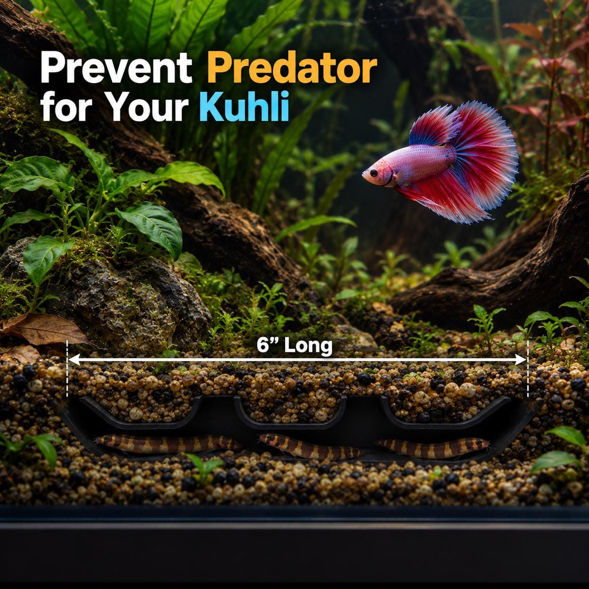Underground Kuhli Cave