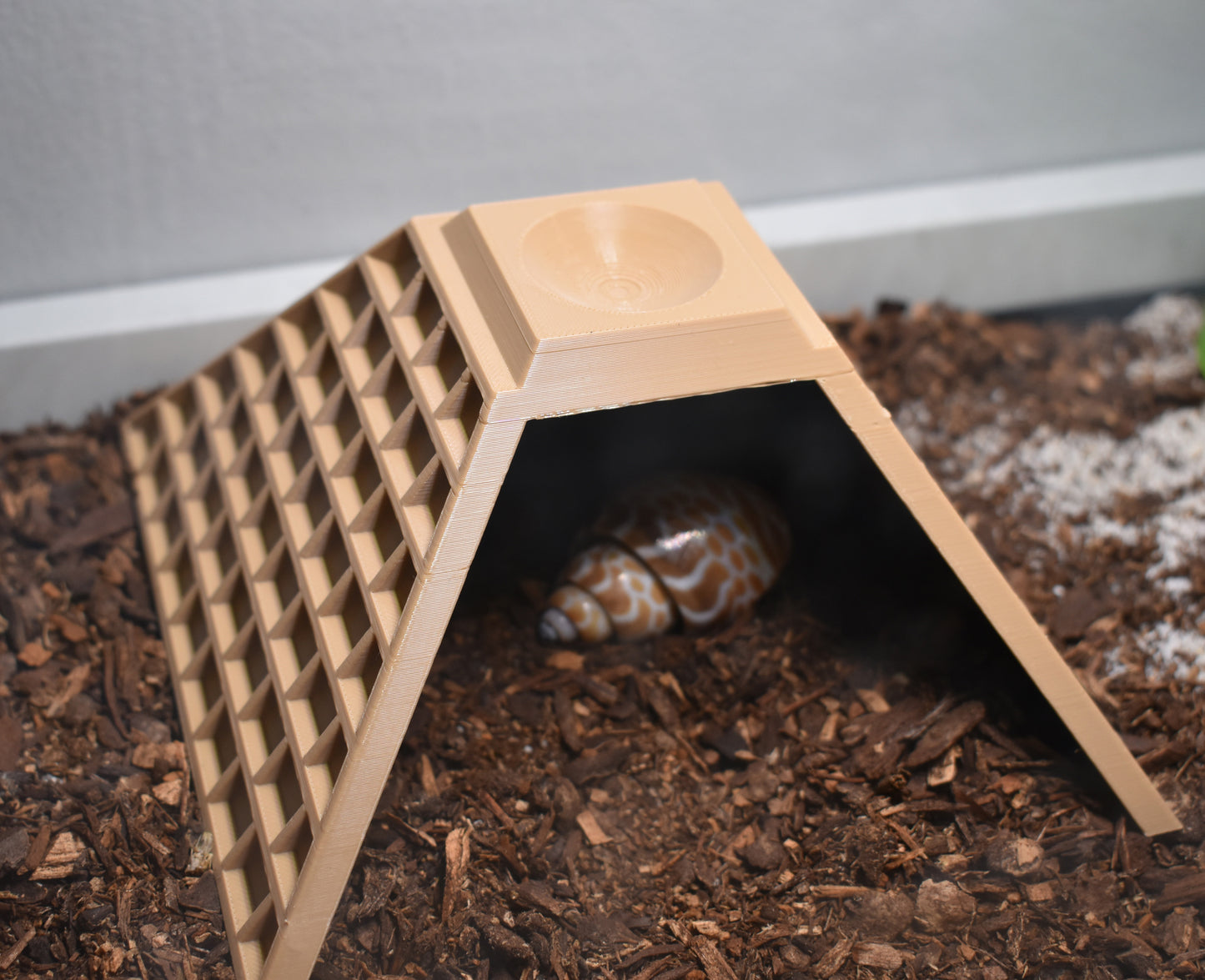 Pyramid Hide-Out For Hermit Crabs