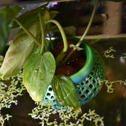 Aquarium Plant Pot Holder with Suction Cup
