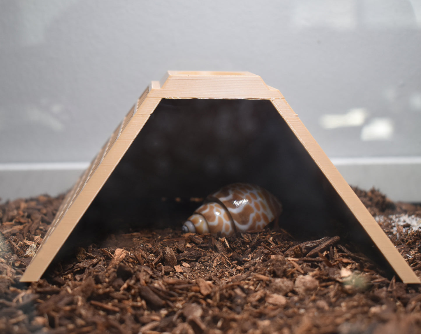 Pyramid Hide-Out For Hermit Crabs