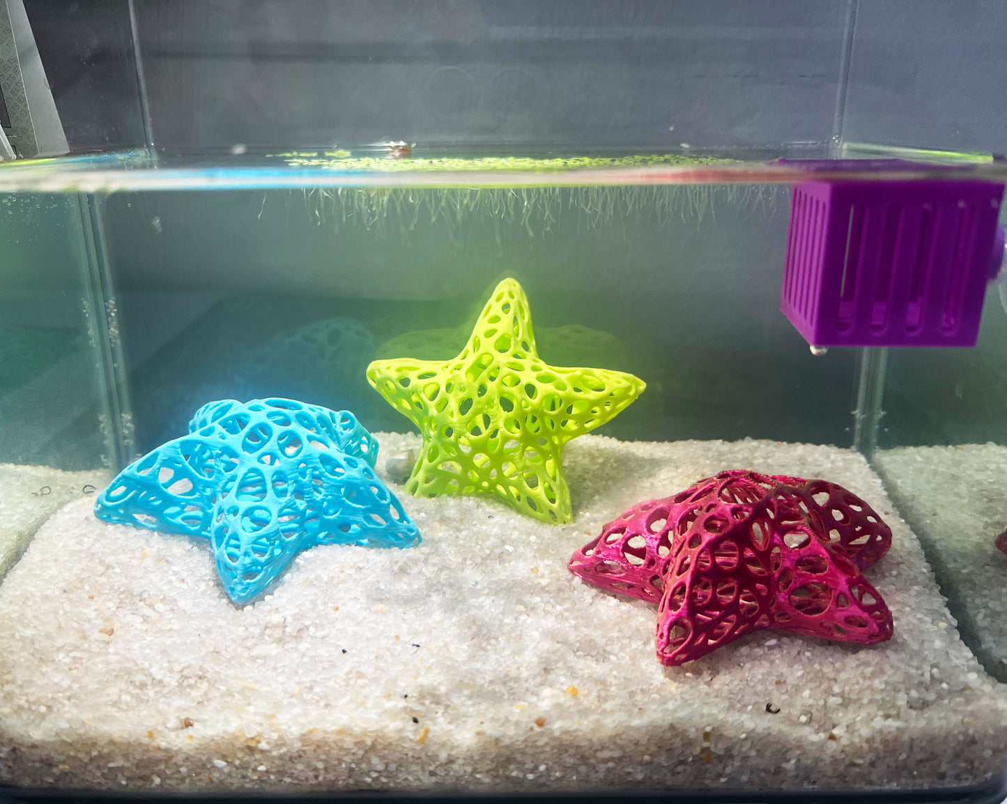 Starfish Shrimp Dome Decor, Shrimp Home Cave and Hideout for Baby Shrimps